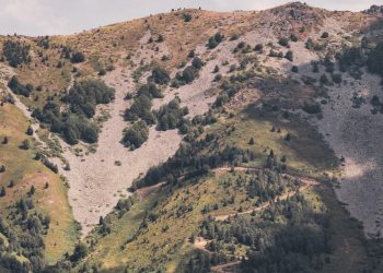 “Eyes That Mesmerize: Eyeshadow Trends and Techniques”