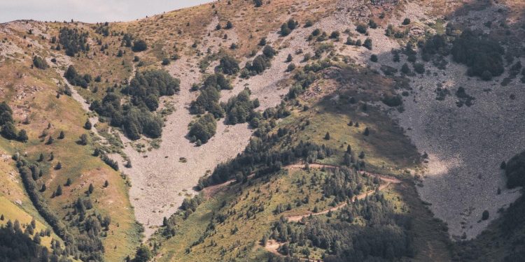 “Eyes That Mesmerize: Eyeshadow Trends and Techniques”