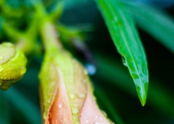 “On-the-Go Essentials: Portable Gadgets for Your Active Lifestyle”