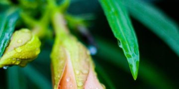 “On-the-Go Essentials: Portable Gadgets for Your Active Lifestyle”