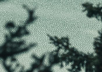 “Culinary Adventures Await: Explore Global Flavors and Cuisines”