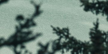 “Culinary Adventures Await: Explore Global Flavors and Cuisines”