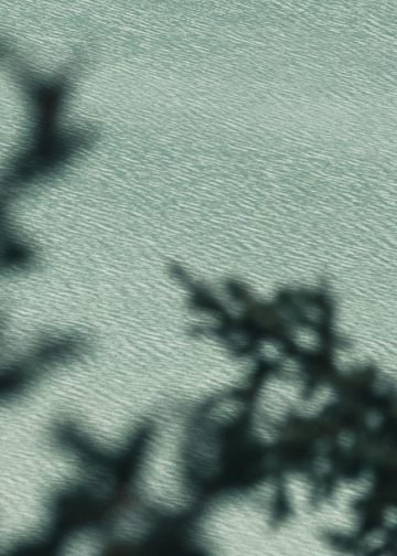 “Culinary Adventures Await: Explore Global Flavors and Cuisines”