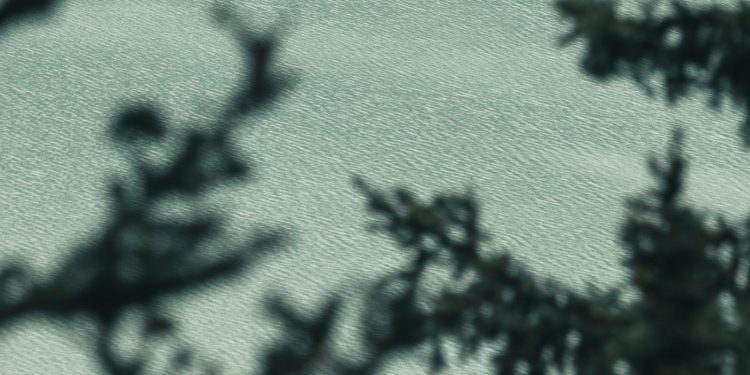 “Culinary Adventures Await: Explore Global Flavors and Cuisines”