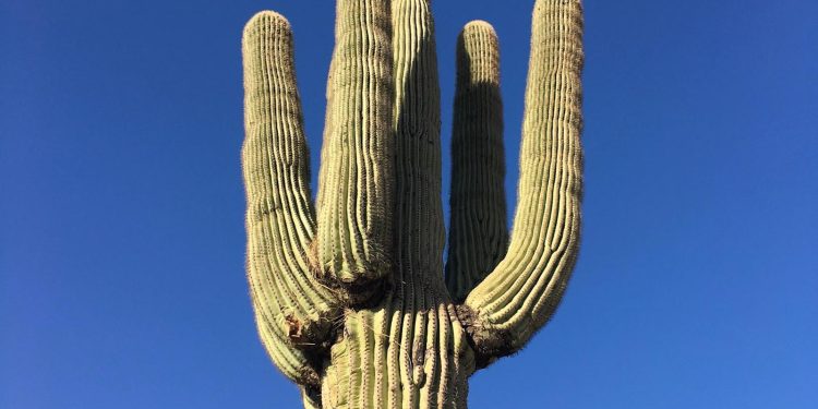 “Upgrade Your Life: Must-Have Electronics for Modern Living”