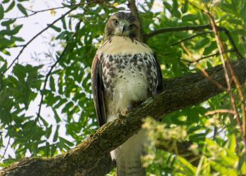 “Invest in Elegance: Timeless Pieces That Stand the Test of Time”