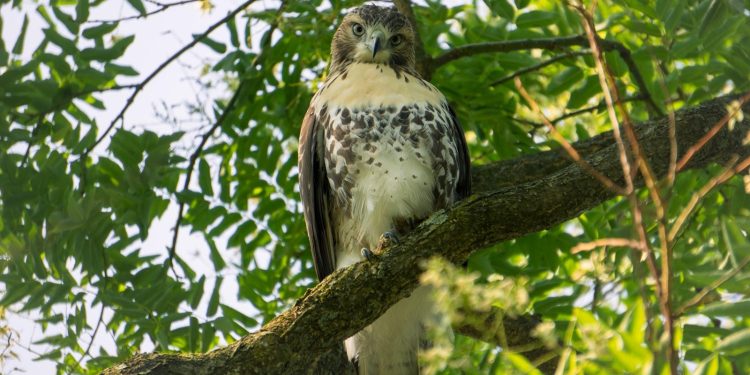 “Invest in Elegance: Timeless Pieces That Stand the Test of Time”