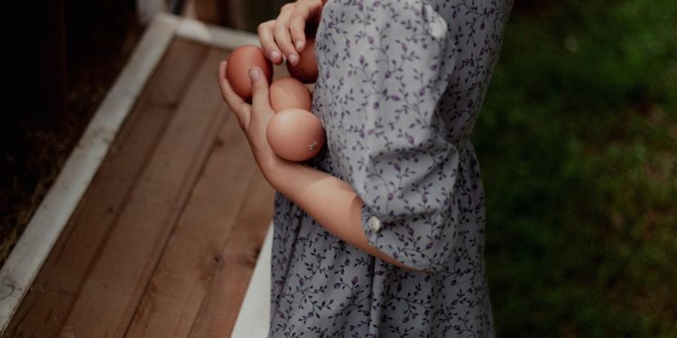 “Unplugged and Unforgettable: Intimate Concert Experiences”