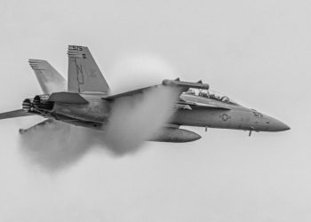 “Sonic Sensations: Explore the Latest Music Releases and Trends”