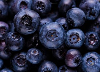 “Comfort Food Classics: Recipes That Warm the Soul”