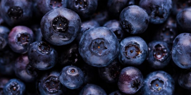 “Comfort Food Classics: Recipes That Warm the Soul”