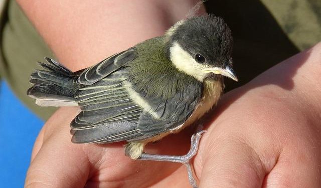 “How to Protect Your Privacy Online: Essential Tips”