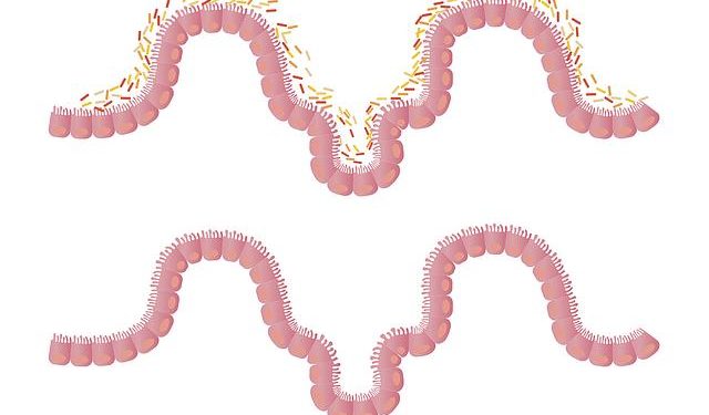 “Gut Health: Foods That Support a Healthy Gut”